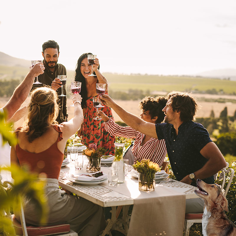 Group of People Drinking Wine
